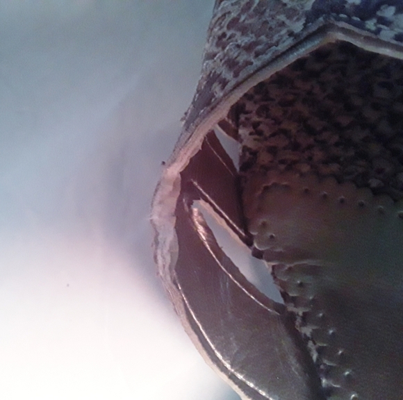 Franco Sarto Faux Snakeskin Wedged Sandals - Picture 11 of 16